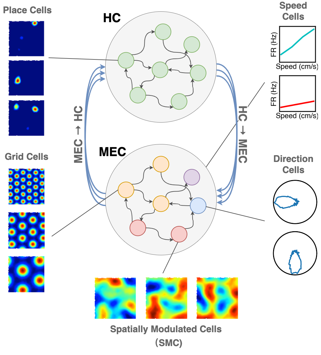 HC-MEC Circuit