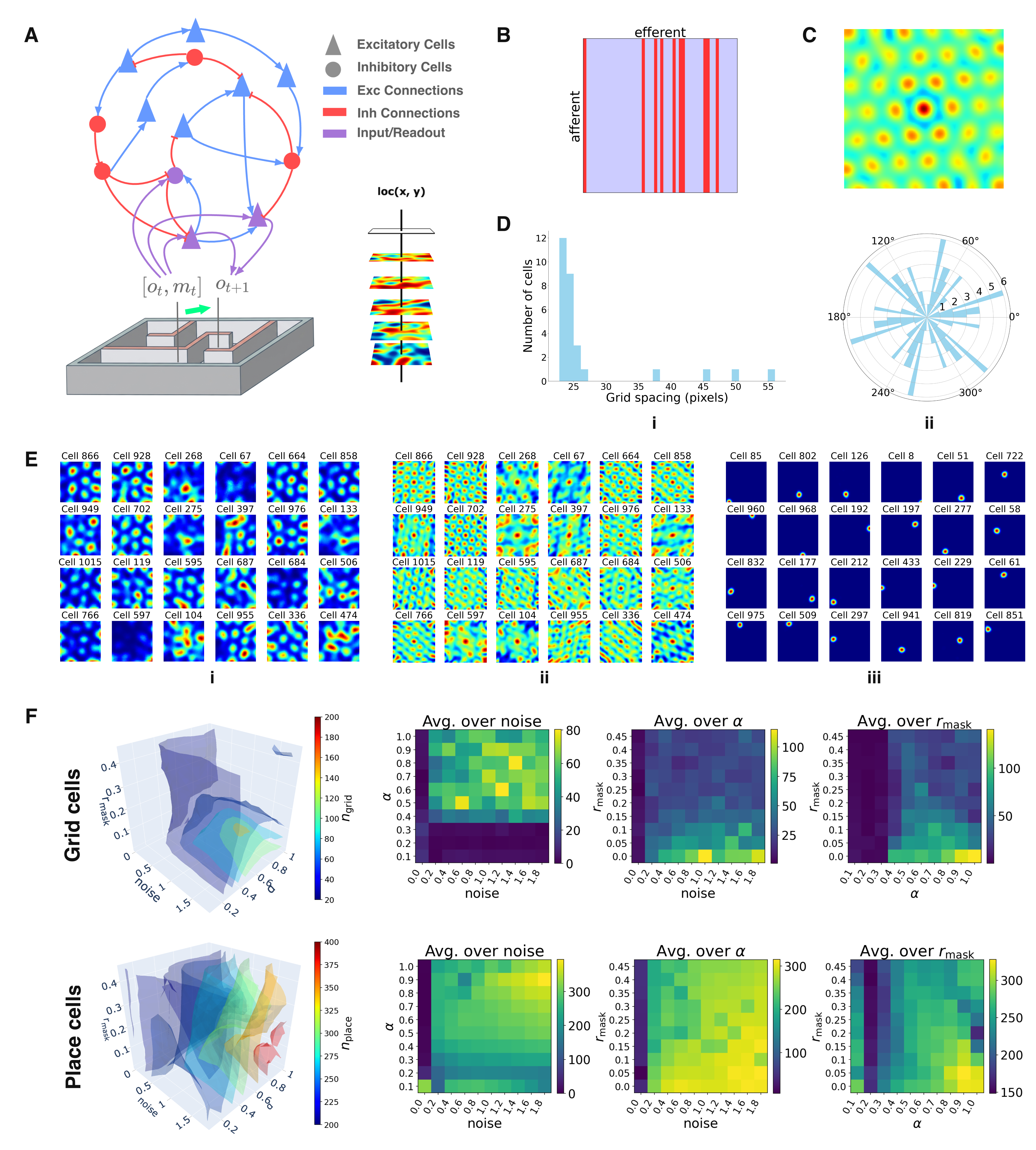 Model architecture and emergent grid and place fields